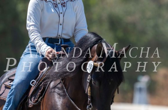 PEC Schooling Show 8/4/24